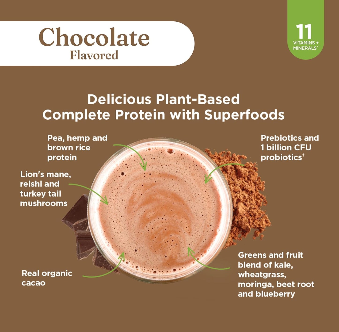 Organic Plant-Based Protein Powder | Clean Vegan Protein Elevated with Lion’S Mane, Chaga, Cordyceps and More for Brain Function and Immune Support | Creamy Cacao, 21.16 Oz